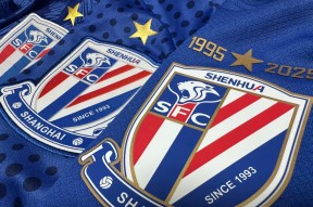 关于集结日法国杯焦点战；上海申花外线爆发；底气十足；细节决定成败的信息-ayx爱游戏网站